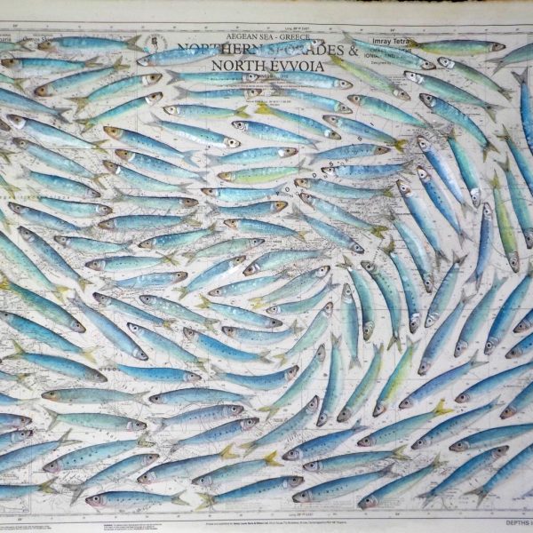 Sardines, it's all Greek to me, 2018, watercolour and pencil on paper