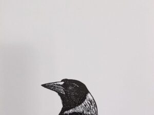 Aves 50 (Lost Birds Series)