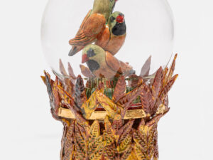 Jane du Rand - Surviving: Black Throated Finches