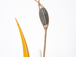 Augustine Dall'Ava - Collaborations and Interventions with Nature no 5