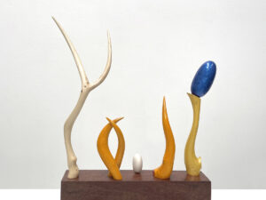 Augustine Dall'Ava - Collaborations and Interventions with Nature no 15 2024